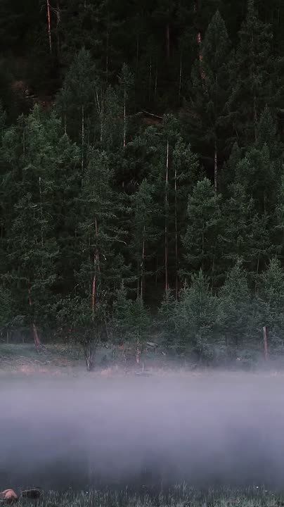 Вместо вечерней медитации