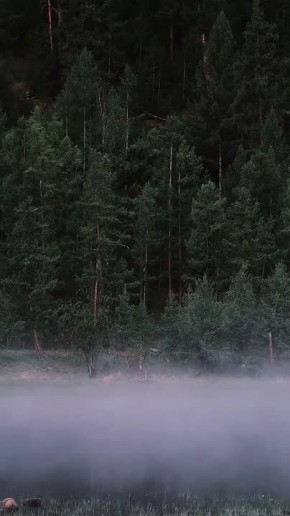 ������ �������� ���������