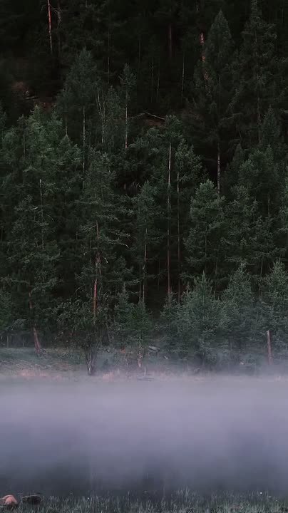 Вместо вечерней медитации