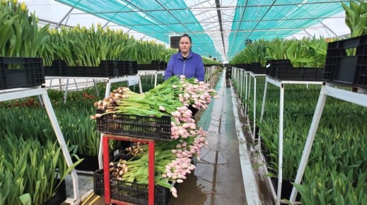 �������� ������� ����� ���������� ����� � �������