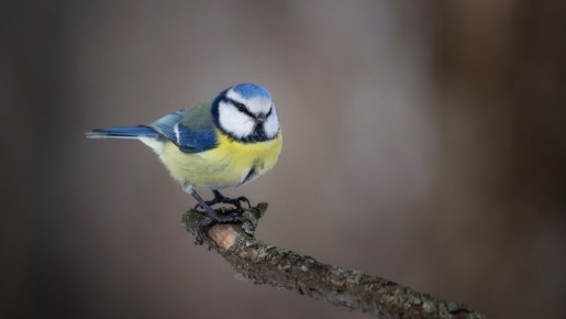 ��������� �� ���������� ���������