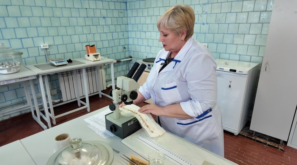 Специалисты Россельхозцентра по Тамбовской области проверяют качества семян перед полевыми работами