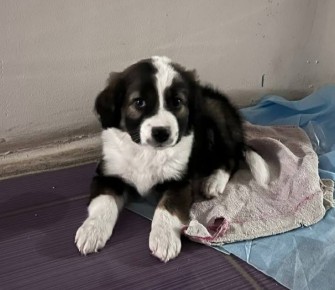 ���� �����: ����� ���� ���