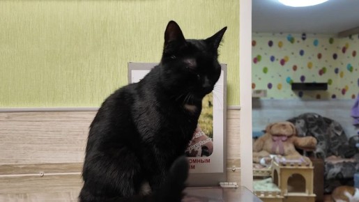 ���� ����� � "����� ����": ����� ������� ���� ���