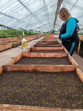 � ������� ��������� �������� ��������������� � ���������� ������������ ����� ����� ��������� �������