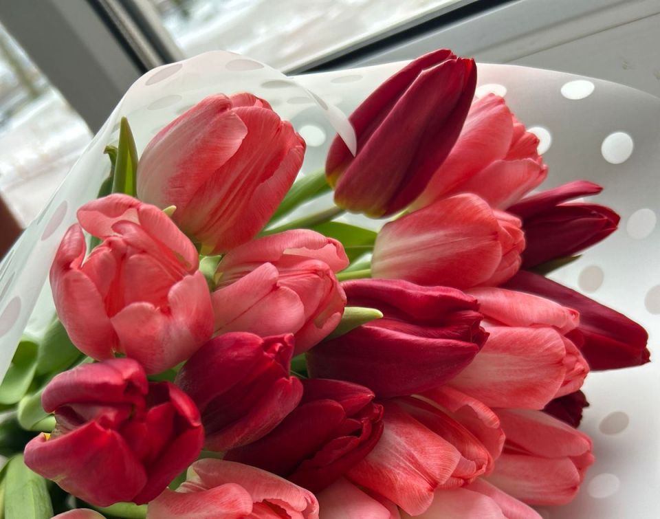По информации АО «Тепличное» в преддверии Международного женского дня в Тамбове тюльпаны от предприятия будут продавать по минимальной цене