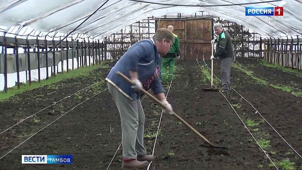 Хоть за окном все еще лежит снег, но по календарю весна уже наступила