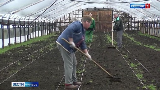 ���� �� ����� ��� ��� ����� ����, �� �� ��������� ����� ��� ���������