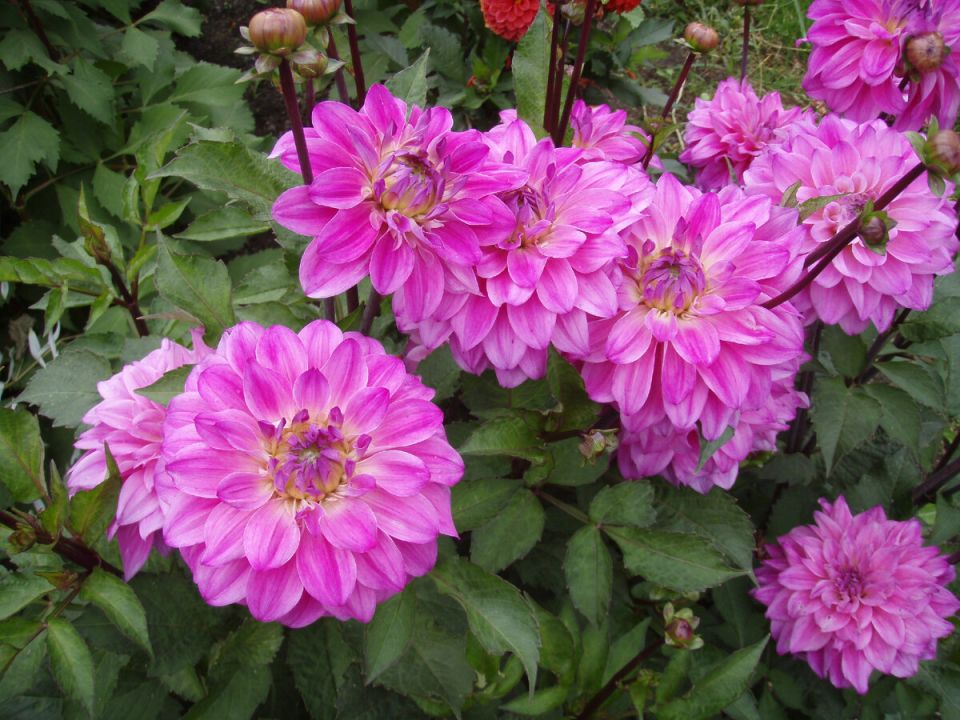 ��� ��������� ����� ������� �� ������ ������ ��������