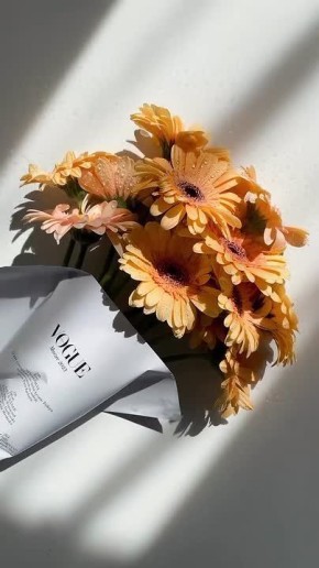 ������ �������� ���������