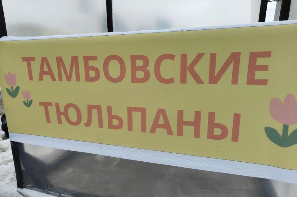 ����������� ����� �� ������ �������