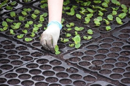 � ������� ���� ������ ������� ����� ���� ��������� ������