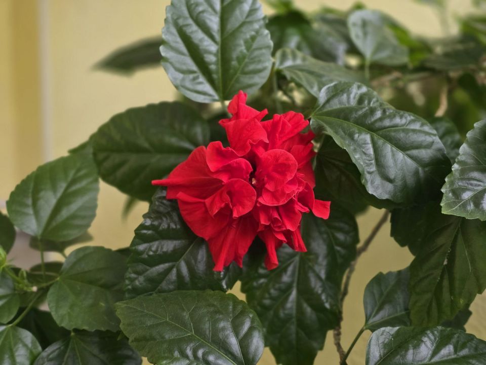 ������� � ����� �����. ����� ���