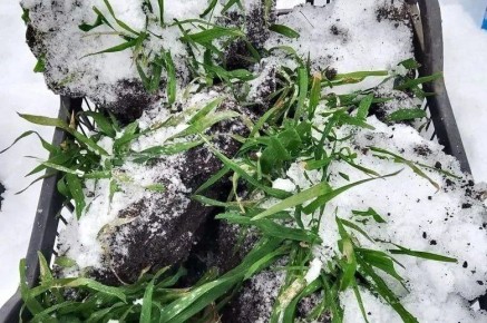 ������ �������� � ���������� ������� �������� ���� � ������������ ��������