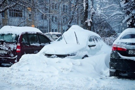 ����������� �������� ������� �������� ��������������� �� ������ ������ �����