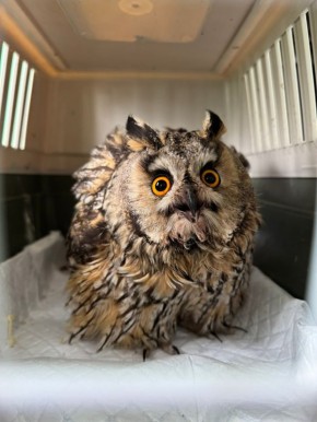 � ������ ������ ������ ���� ������� ���� ��� �� ��������