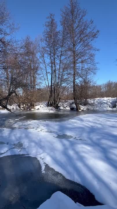 Весна на Вороне