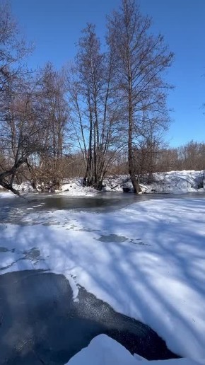 ����� �� ������