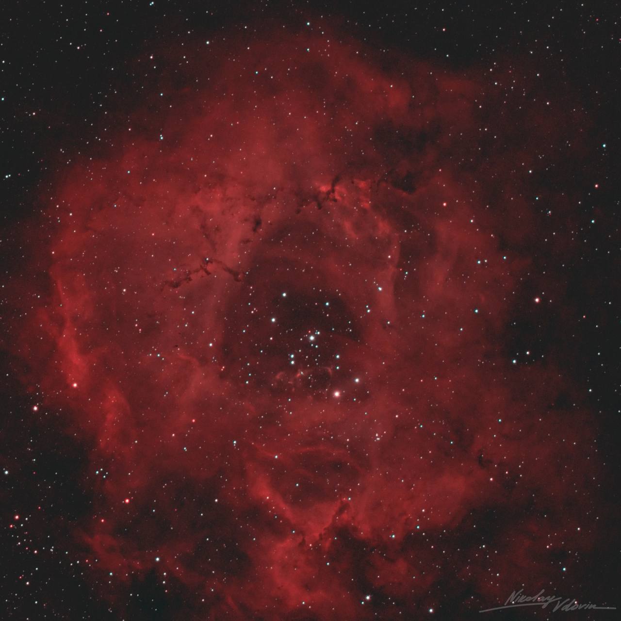 Роскосмос опубликовал фотографии «космических букетов» к 8 Марта Роскосмос опубликовал фотографии «космических букетов» к 8 Марта