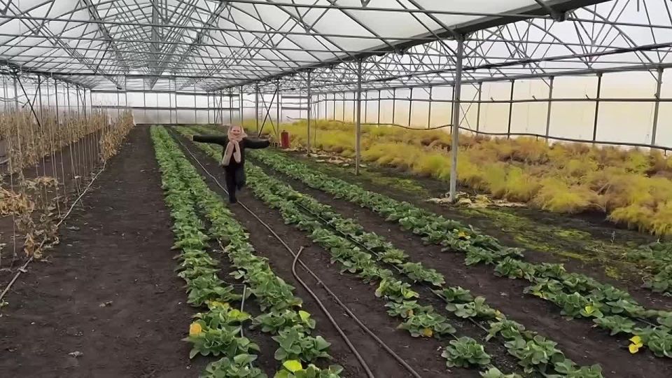 Семья фермеров из Бондарского округа поучаствовала в шоу «Мужское/Женское» на Первом канале (16+)