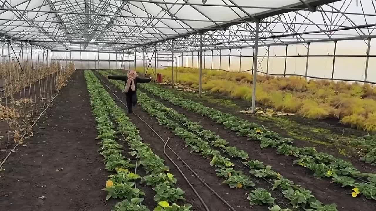 Семья фермеров из Бондарского округа поучаствовала в шоу «Мужское/Женское» на Первом канале (16+)