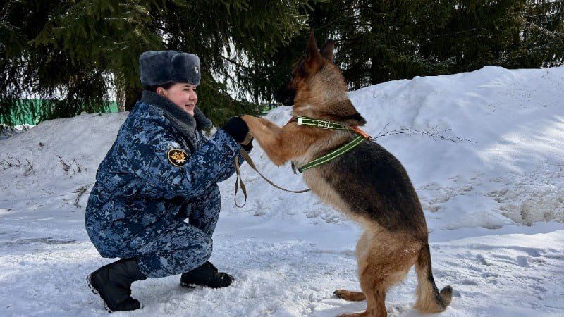 Кинолог Ирина Рослякова: Собаки исцеляют душу
