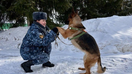 ������� ����� ���������: ������ �������� ����