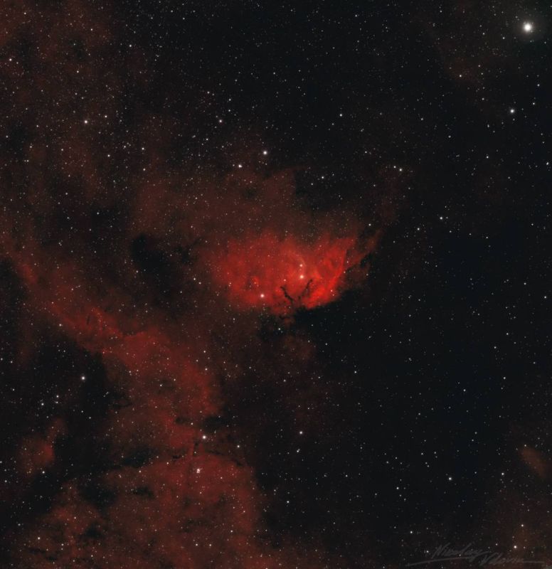 Роскосмос опубликовал фотографии «космических букетов» к 8 Марта