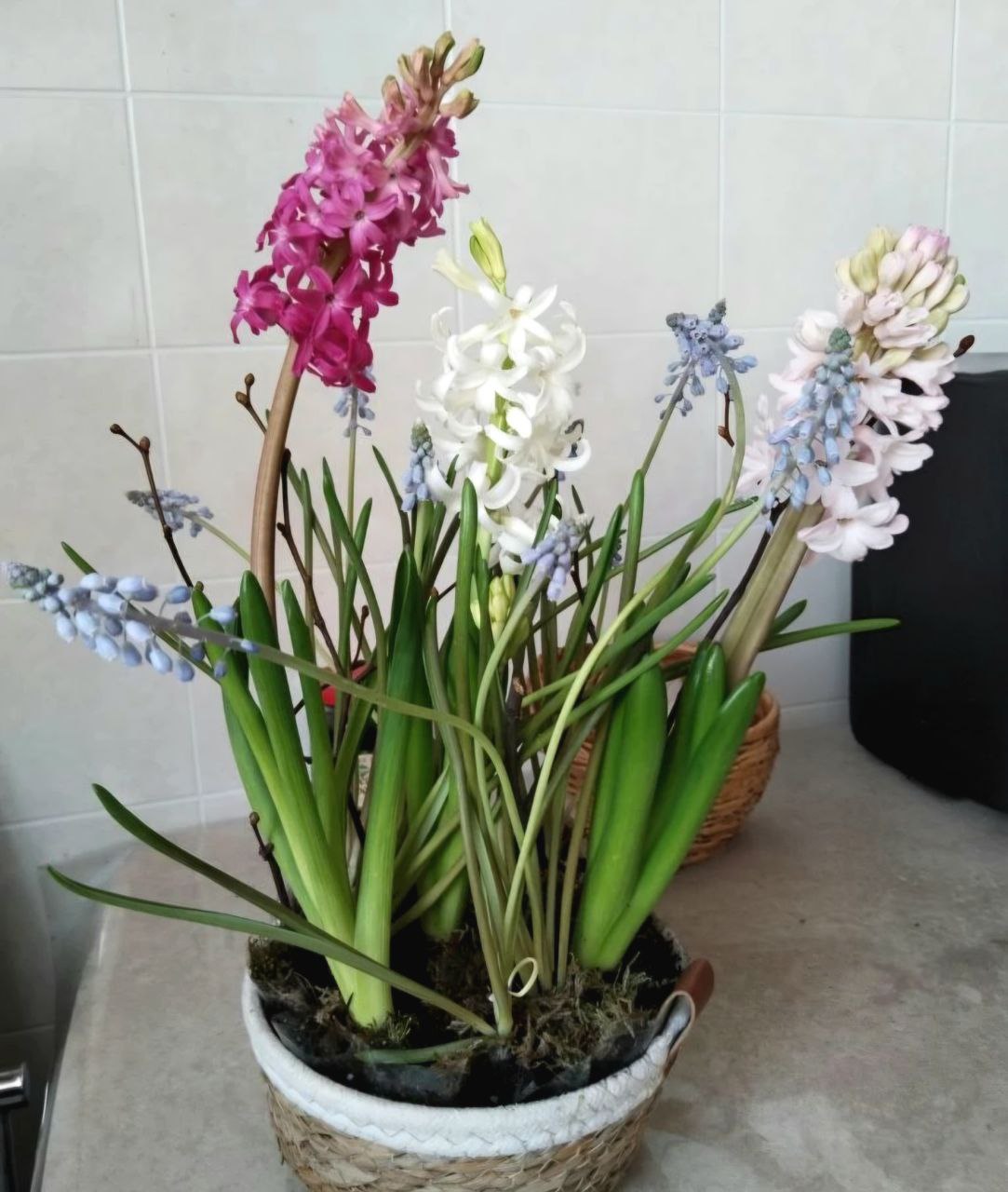 В преддверии 8 марта для женщин-участниц Женсовета следственного управления СК России по Тамбовской области организован мастер-класс по созданию цветочных композиций В преддверии 8 марта для женщин-участниц Женсовета следственного управления СК России по Тамбовской области организован мастер-класс по созданию цветочных композиций