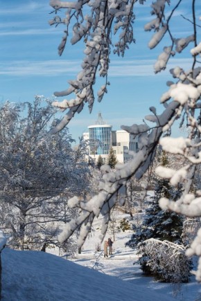 �������� ������. �������� ���������