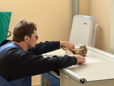 � ����������� ������ ������ ������ ���� ������� ������� ����