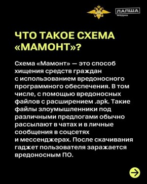 Киберполиция расскажет, как не стать «мамонтом»
