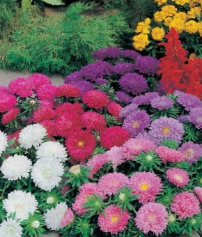 ����� � ��� ������ � ����� ��� �������� ������� ������������