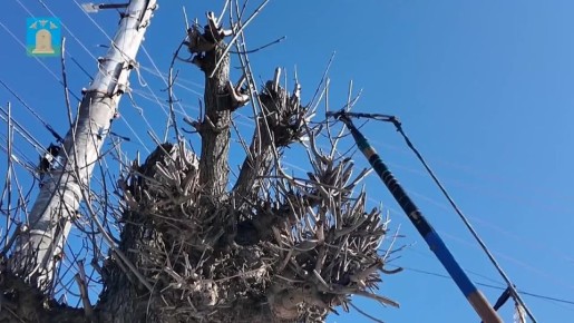 � ������� ���������� � ���������� ������� ��������