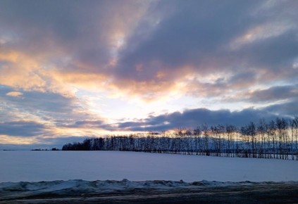 Хорошего вечера. Светлана Фитисенко