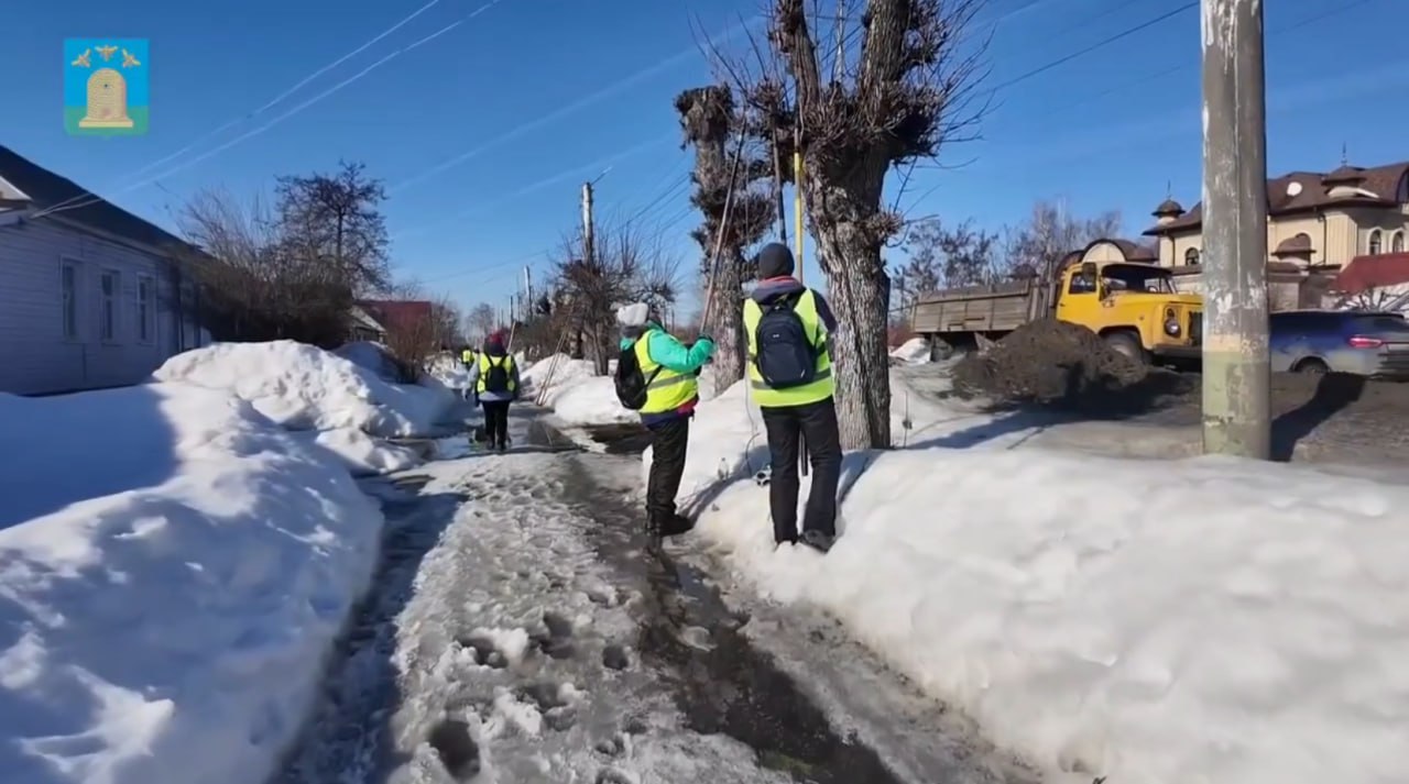 В Тамбове приступили к санитарной обрезке деревьев