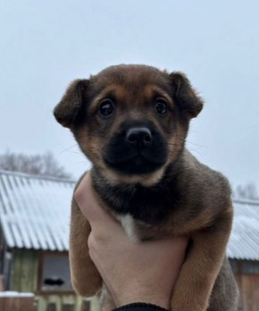 ���� �����: ����� ���� ���