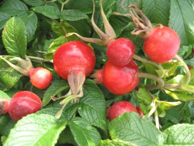 ��������: ������� ��������� � ����� ���������