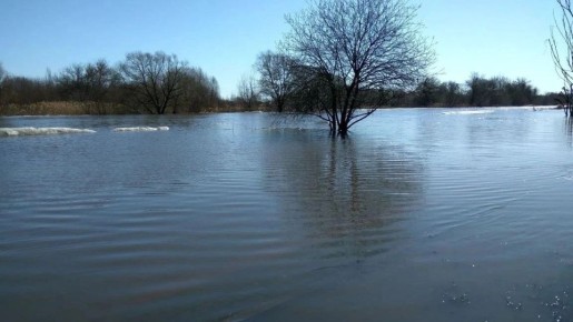 Руководители Мичуринска, Жердевского и Староюрьевского муниципальных округов доложили о подготовке к весеннему паводку на заседании штаба по предупреждению чрезвычайных ситуаций, которое по поручению главы региона Евгения...