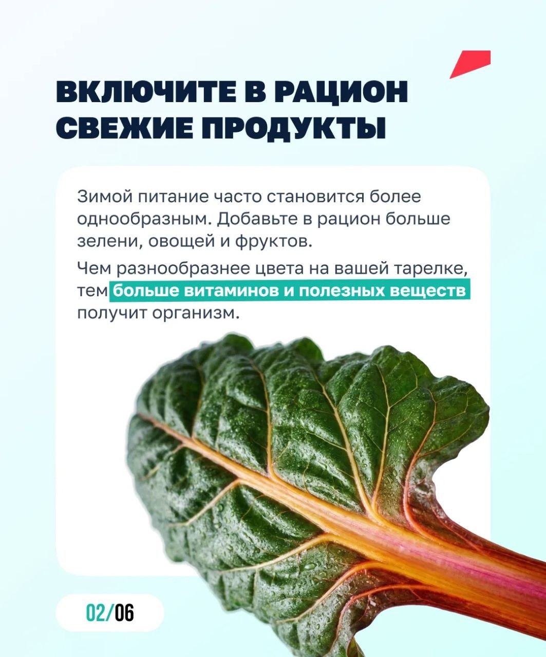 Ставим организм на перезагрузку! Ставим организм на перезагрузку!