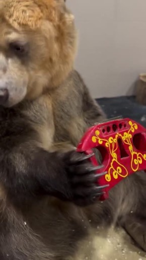 ���������!