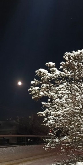 �������� ������. ������ �������