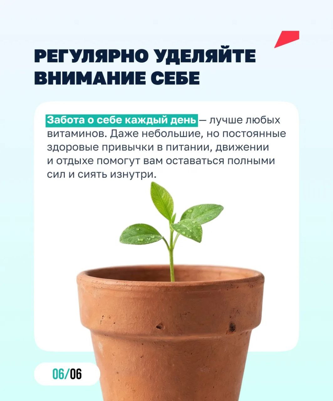 Ставим организм на перезагрузку! Ставим организм на перезагрузку!