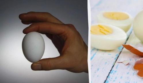 Почему желток может стать зеленым: секреты идеального яйца вкрутую