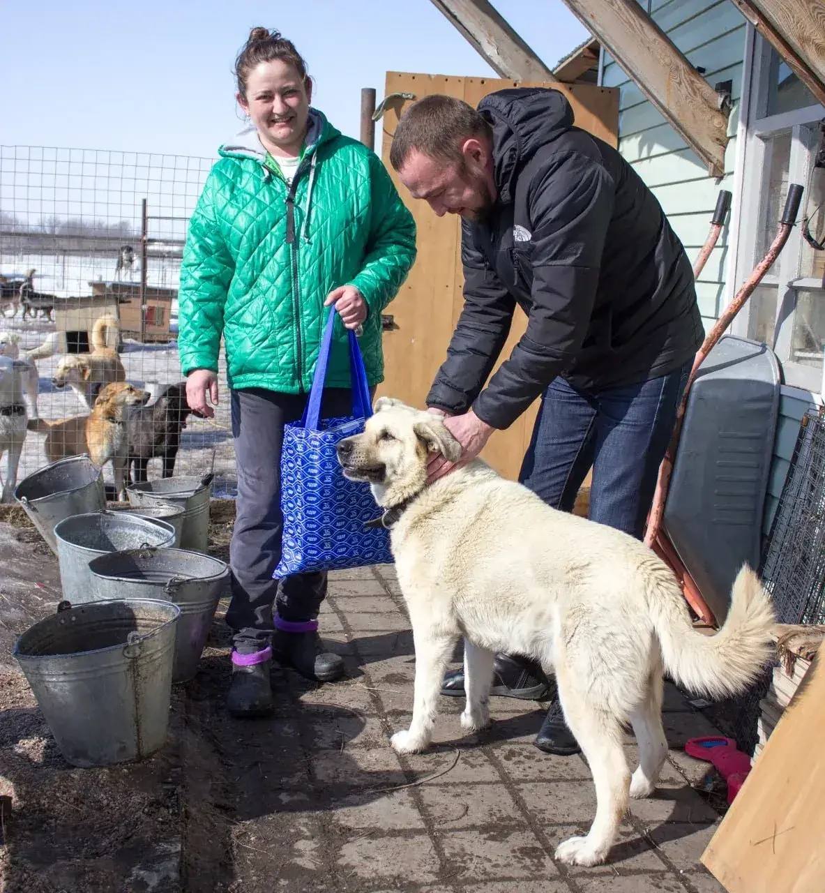 Тамбовские активисты посетили приют для бездомных животных