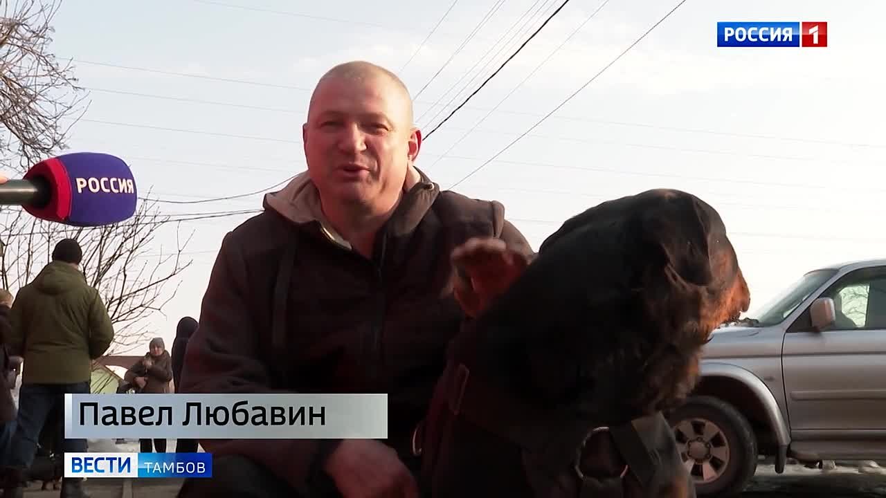 Владельцев домашних питомцев приглашают позаботиться о подопечных и посетить вместе с ними выездные точки бесплатной вакцинации от бешенства