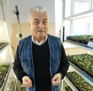 ��� ��������� ������������ ����� ���������� � ������