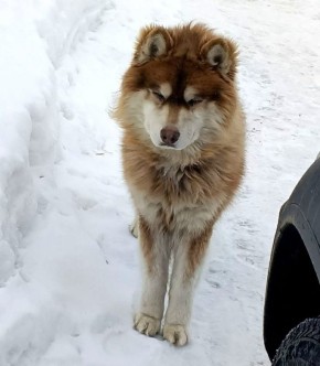 ���� �����: ������ ���� ������ ��� ����� ������