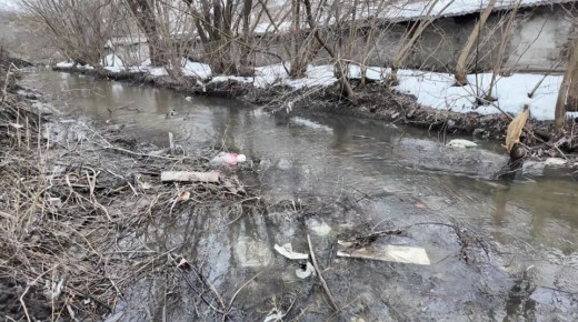 ��������� ���� ���� �������� � ������� ��������� ����� ���������� ���������������� ����������