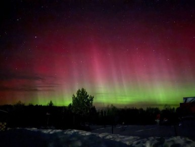 ��-�� ���� ���� ����� �� ���� ������ ��������� ����� �������� ������